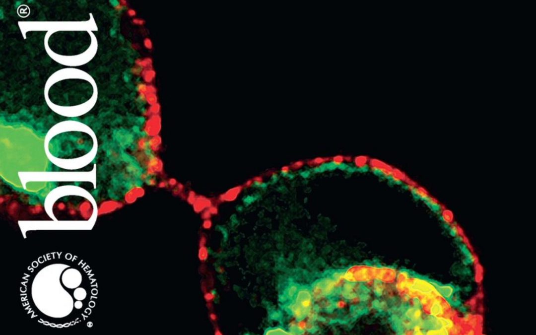 American Society of Hematology